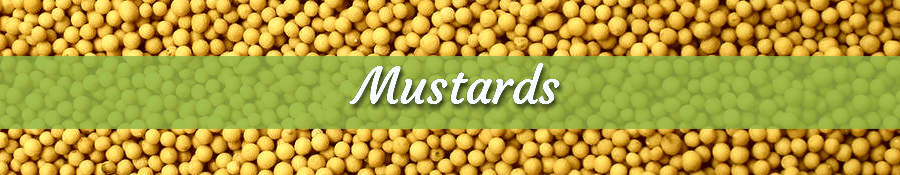 subcategory_banner_mustards_1.png